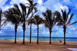 Free Attractions in Hollywood Florida