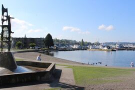 Free Attractions in Kirkland Washington