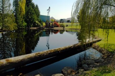 Free Attractions in Marysville Washington