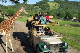 Free Things to do with Kids in Santa Rosa California