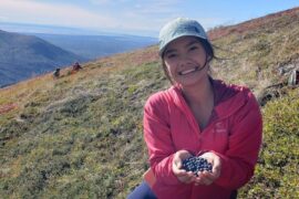 Fruit Picking for Kids in Anchorage Alaska