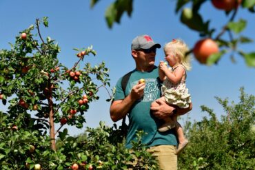 Fruit Picking for Kids in Aurora Colorado