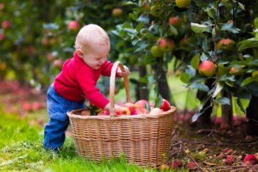 Fruit Picking for Kids in Aurora Illinois