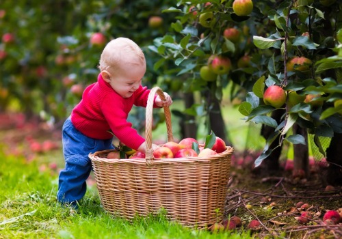 Fruit Picking for Kids in Aurora Illinois