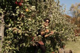 Fruit Picking for Kids in Blaine Minnesota