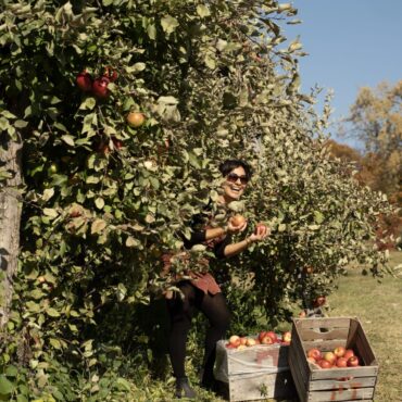 Fruit Picking for Kids in Blaine Minnesota