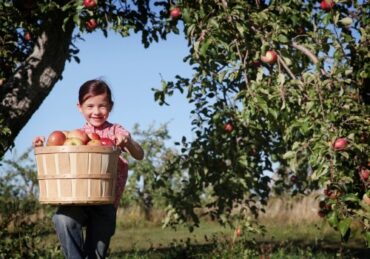 Fruit Picking for Kids in Bloomington Illinois