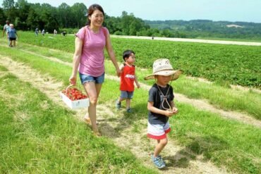 Fruit Picking for Kids in Bridgeport Connecticut