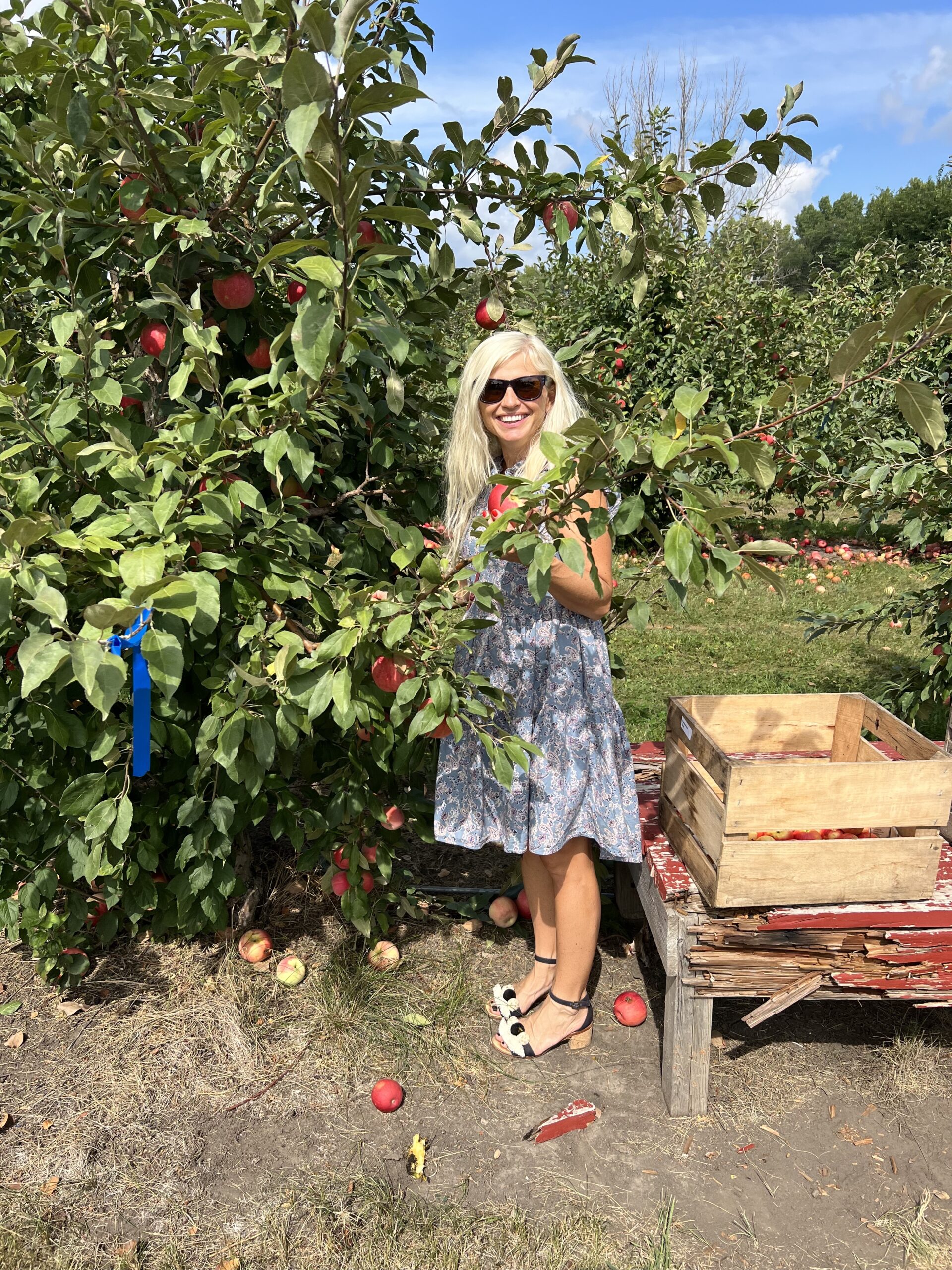 Fruit Picking for Kids in Brooklyn Park Minnesota