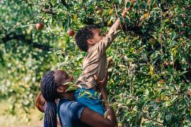 Fruit Picking for Kids in Broomfield Colorado