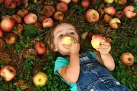 Fruit Picking for Kids in Columbia Maryland