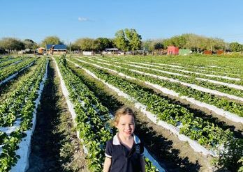 Fruit Picking for Kids in Davie Florida