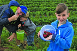 Fruit Picking for Kids in Edmond Oklahoma