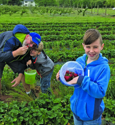 Fruit Picking for Kids in Edmond Oklahoma