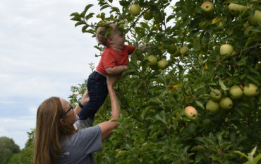 Fruit Picking for Kids in Fishers Indiana