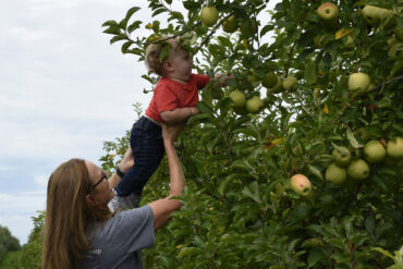 Fruit Picking for Kids in Fishers Indiana