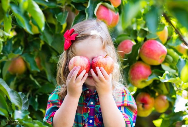 Fruit Picking for Kids in Hollywood Florida