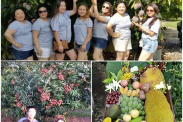 Fruit Picking for Kids in Homestead Florida