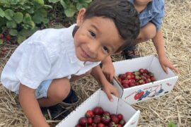 Fruit Picking for Kids in Joliet Illinois