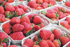 Fruit Picking for Kids in Kenner Louisiana