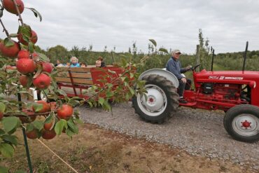 Fruit Picking for Kids in Lakeville Minnesota