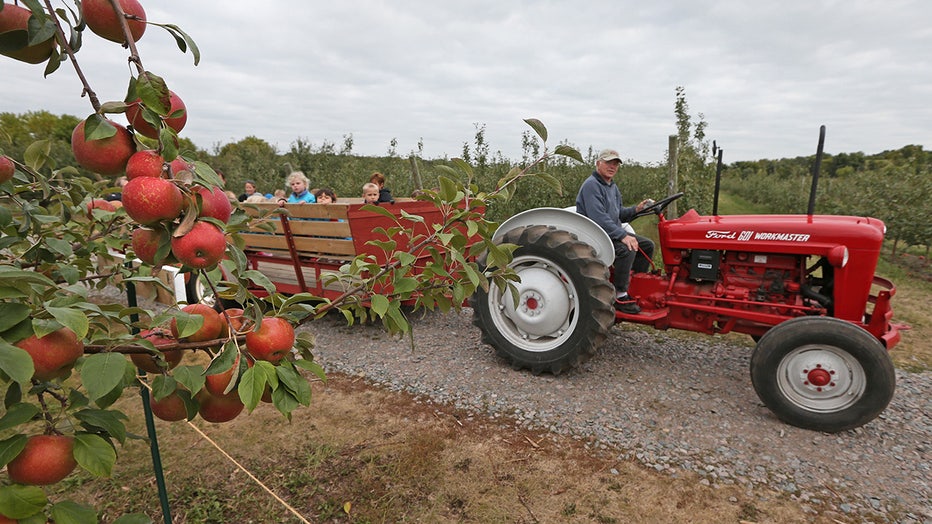 Fruit Picking for Kids in Lakeville Minnesota