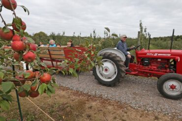 Fruit Picking for Kids in Maple Grove Minnesota