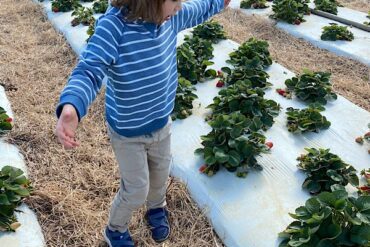 Fruit Picking for Kids in Miami Gardens Florida