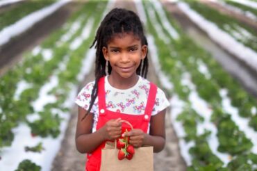 Fruit Picking for Kids in Miramar Florida