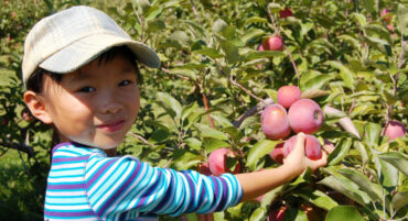 Fruit Picking for Kids in North Charleston South Carolina