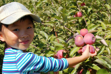 Fruit Picking for Kids in North Charleston South Carolina