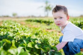 Fruit Picking for Kids in Oklahoma City Oklahoma