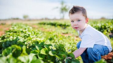 Fruit Picking for Kids in Oklahoma City Oklahoma