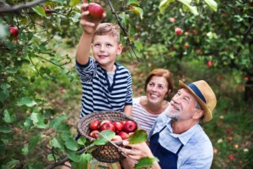 Fruit Picking for Kids in Peoria Illinois