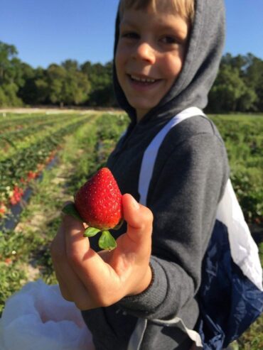 Fruit Picking for Kids in Plantation Florida