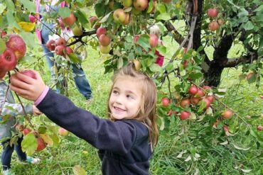 Fruit Picking for Kids in Rapid City South Dakota