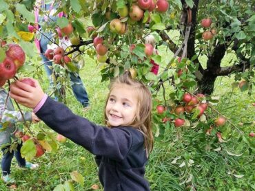 Fruit Picking for Kids in Rapid City South Dakota