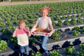 Fruit Picking for Kids in Riverview Florida