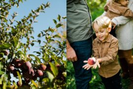 Fruit Picking for Kids in Schenectady New York