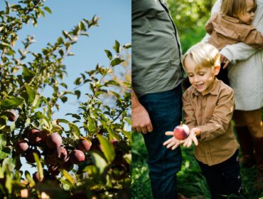 Fruit Picking for Kids in Schenectady New York