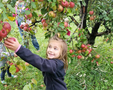 Fruit Picking for Kids in Sioux Falls South Dakota