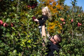 Fruit Picking for Kids in Sunrise Florida