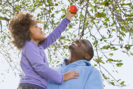 Fruit Picking for Kids in Tamarac Florida