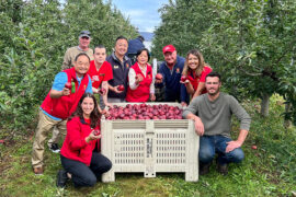 Fruit Picking for Kids in Yonkers New York