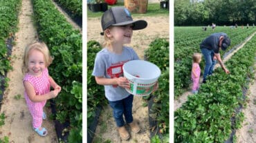 Fruit Picking in Baton Rouge Louisiana