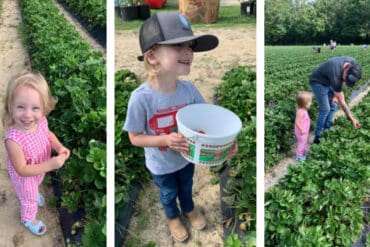 Fruit Picking in Baton Rouge Louisiana