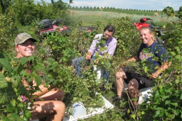 Fruit Picking in Bismarck North Dakota