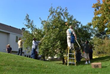 Fruit Picking in Brooklyn Park Minnesota