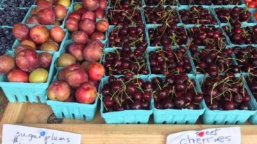 Fruit Picking in Dale City Virginia