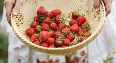 Fruit Picking in Edmond Oklahoma